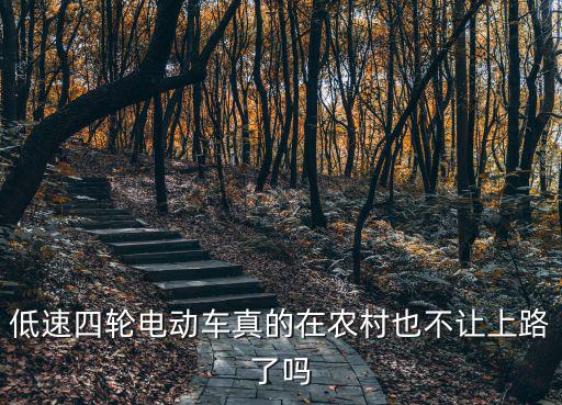 濮陽電四輪車不讓上路了怎么辦,電動四輪車不上牌照