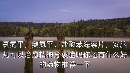 氯氮平，奧氮平，鹽酸苯海索片，安腦丸可以治愈精神分裂癥嗎你還有什么好的藥物推薦一下