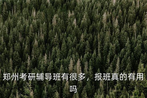 鄭州考研輔導班有很多，報班真的有用嗎