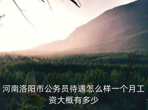 河南洛陽市公務員待遇怎么樣一個月工資大概有多少