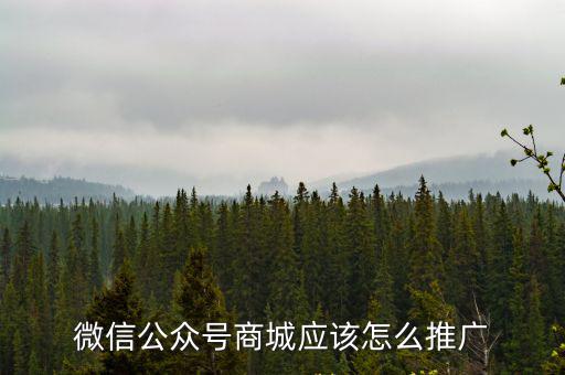 微信公眾號商城應(yīng)該怎么推廣