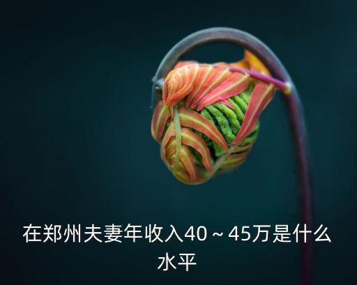 鄭州年收入25萬怎么樣,在鄭州和媳婦一年收入20萬