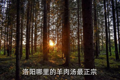 洛陽哪里的羊肉湯最正宗