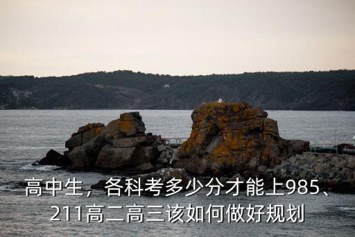 高中生，各科考多少分才能上985、211高二高三該如何做好規劃