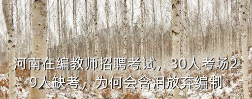 河南在編教師招聘考試，30人考場29人缺考，為何會含淚放棄編制