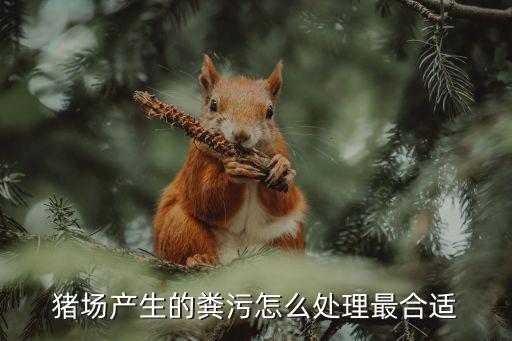 信陽豬場糞污怎么處理,舊豬場怎么改造處理糞污問題