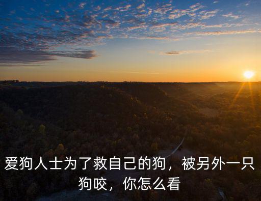 河南哪里小孩被狗咬死,河南鶴壁一兒童被狗活活咬死