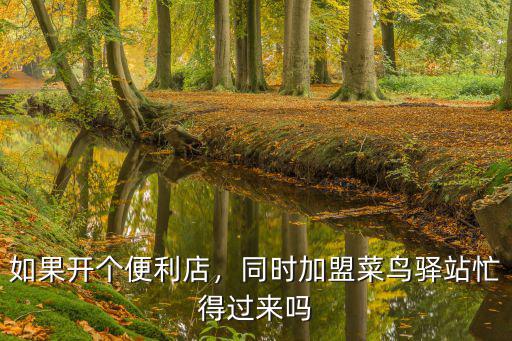 如果開個便利店，同時加盟菜鳥驛站忙得過來嗎