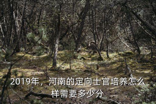 2019年，河南的定向士官培養怎么樣需要多少分