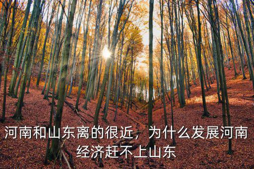河南和山東離的很近，為什么發展河南經濟趕不上山東
