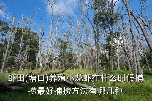 蝦田(塘口)養(yǎng)殖小龍蝦在什么時(shí)候捕撈最好捕撈方法有哪幾種
