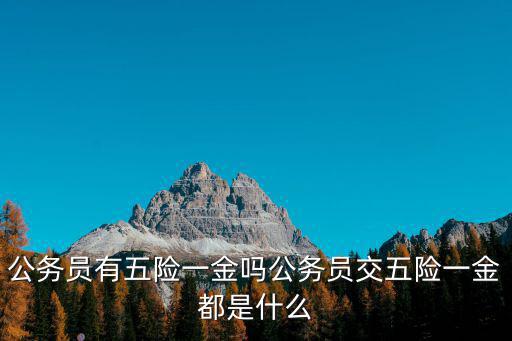 安陽市公務員五險一金去哪里查詢,公務員有五險一金嗎