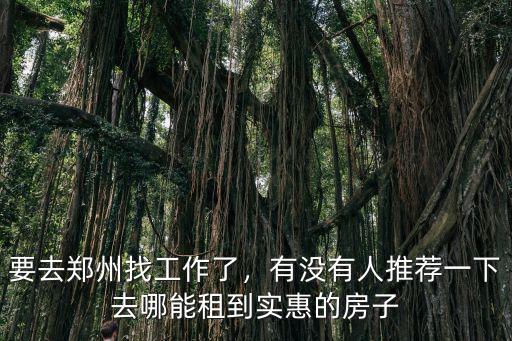 要去鄭州找工作了，有沒(méi)有人推薦一下去哪能租到實(shí)惠的房子