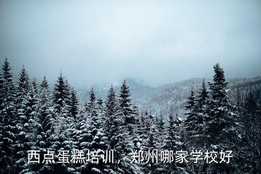 西點蛋糕培訓，鄭州哪家學校好