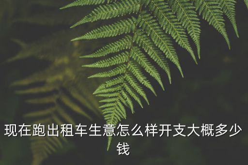 現在跑出租車生意怎么樣開支大概多少錢