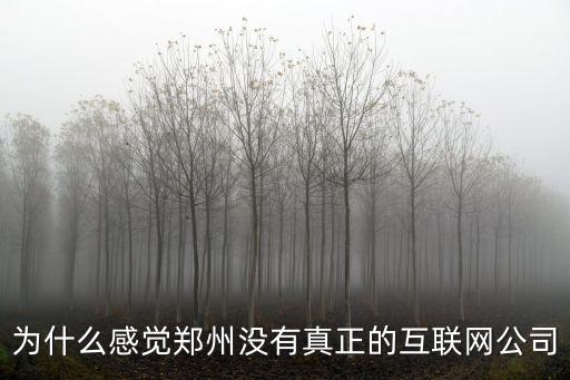 為什么感覺鄭州沒有真正的互聯網公司