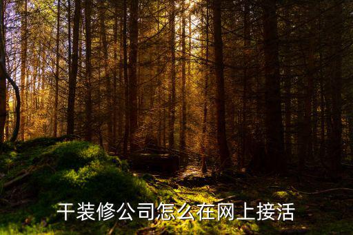 干裝修公司怎么在網上接活