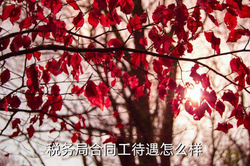 稅務局合同工待遇怎么樣