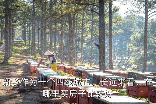 新鄉作為一個四線城市，長遠來看，在哪里買房子比較好