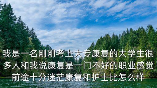 我是一名剛剛考上大專康復(fù)的大學(xué)生很多人和我說康復(fù)是一門不好的職業(yè)感覺前途十分迷茫康復(fù)和護士比怎么樣