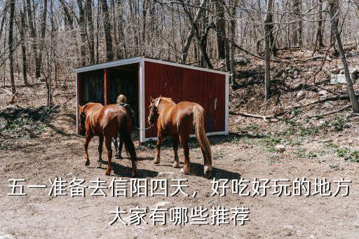 信陽市區哪里有野釣的地方,信陽有哪些可以釣魚的地方