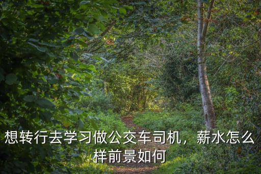 想轉(zhuǎn)行去學(xué)習(xí)做公交車司機(jī)，薪水怎么樣前景如何