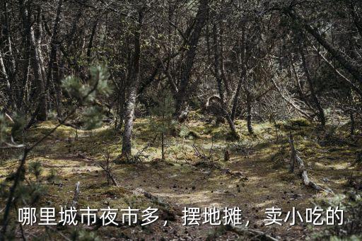哪里城市夜市多，擺地?cái)?，賣小吃的