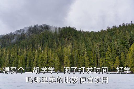 鄭州哪里學二胡最便宜,二胡好不好學