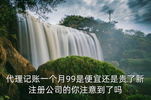 代理記賬一個月99是便宜還是貴了新注冊公司的你注意到了嗎