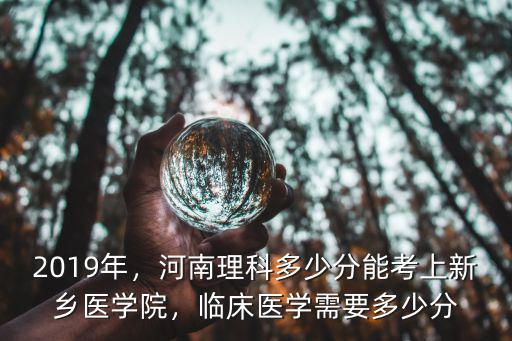 新鄉共達新興醫院有多少床位,新鄉市有多少人口