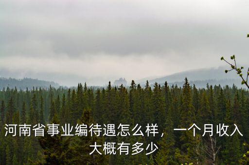 河南省事業(yè)編待遇怎么樣，一個月收入大概有多少