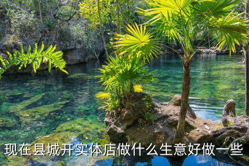 現在縣城開實體店做什么生意好做一些