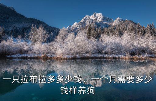 一只拉布拉多多少錢，一個月需要多少錢樣養狗