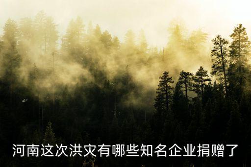 朱婷為河南洪災捐了多少錢,河南洪災你捐款了嗎