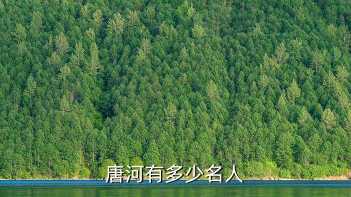 唐河有多少名人