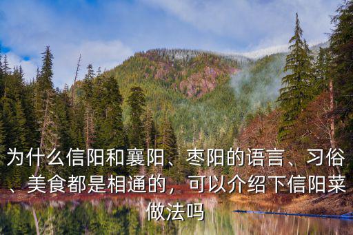 為什么信陽和襄陽、棗陽的語言、習俗、美食都是相通的，可以介紹下信陽菜做法嗎