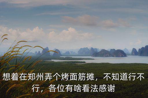 想著在鄭州弄個烤面筋攤，不知道行不行，各位有啥看法感謝