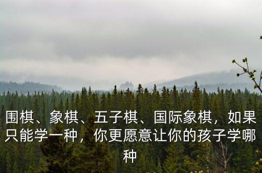 圍棋、象棋、五子棋、國(guó)際象棋，如果只能學(xué)一種，你更愿意讓你的孩子學(xué)哪種