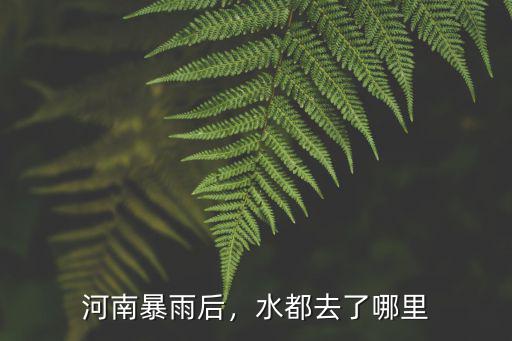 河南暴雨后，水都去了哪里