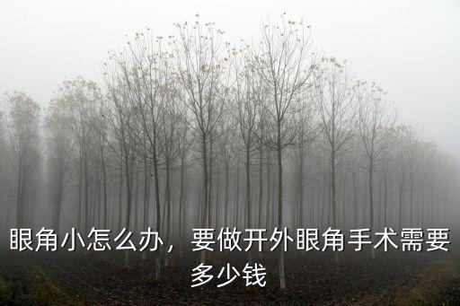 眼角小怎么辦，要做開外眼角手術需要多少錢