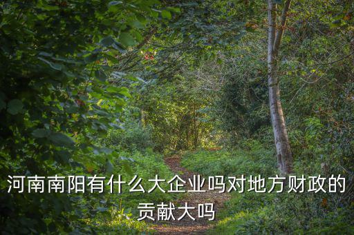 河南南陽有什么大企業嗎對地方財政的貢獻大嗎