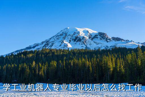 學(xué)工業(yè)機(jī)器人專業(yè)畢業(yè)以后怎么找工作