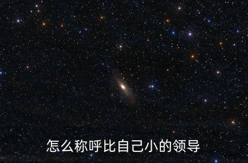 怎么稱呼比自己小的領導