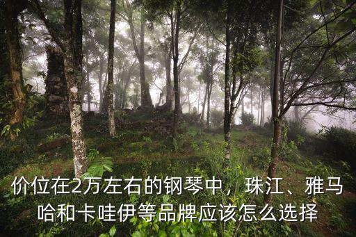 新鄉(xiāng)雅馬哈和卡哇伊鋼琴怎么樣,賽樂爾鋼琴怎么樣