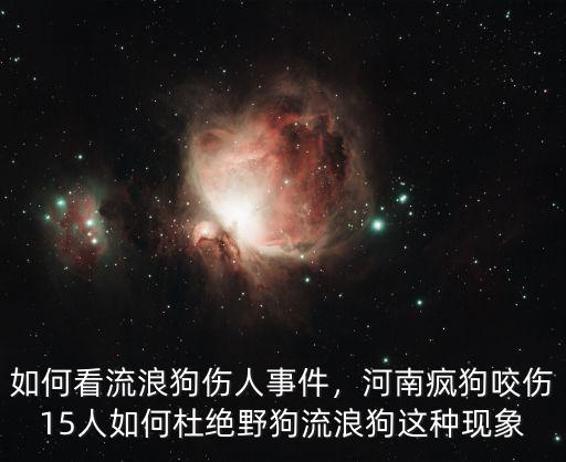 如何看流浪狗傷人事件，河南瘋狗咬傷15人如何杜絕野狗流浪狗這種現象