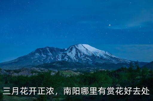 南陽哪里有免費看花,南陽有哪些春天賞花好地方