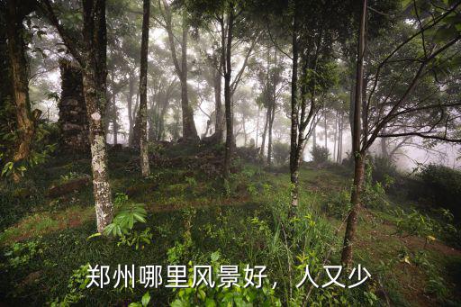 鄭州哪里風景好，人又少