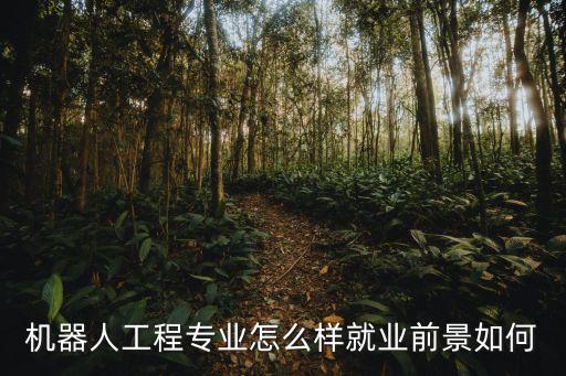 鄭州市童創機器人怎么樣,鄭大機械工程怎么樣