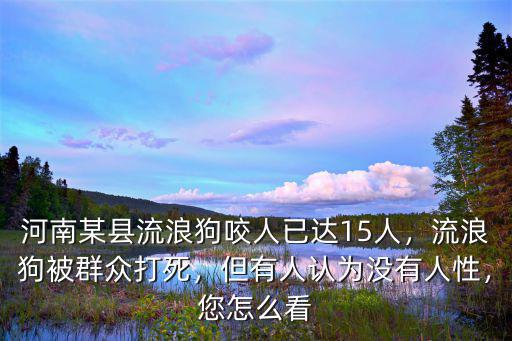 河南某縣流浪狗咬人已達15人，流浪狗被群眾打死，但有人認為沒有人性，您怎么看