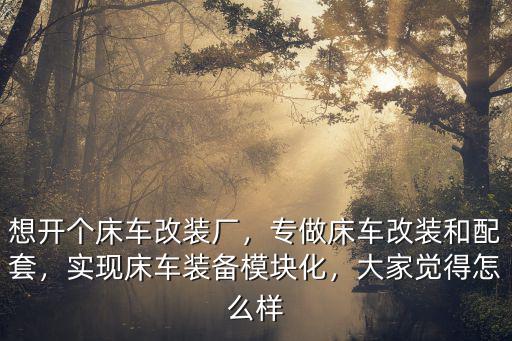 想開個床車改裝廠，專做床車改裝和配套，實現床車裝備模塊化，大家覺得怎么樣